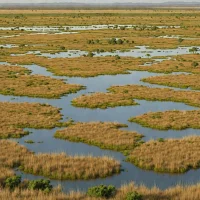Wakkerstroom Wetland