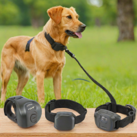 WDTFLY Dog Training Collar
