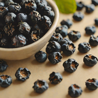 Wildly Delicious Dried Blueberries