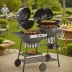 Weber Performer Deluxe Charcoal Grill