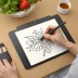 Wacom Intuos Pro Small (PTH-451)