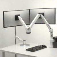 WaliMounts Dual Monitor Arm