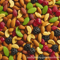 Wild Harvest Organic Trail Mix - Mountain Berry