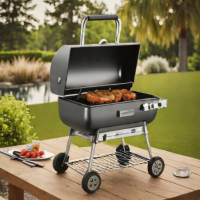 Weber Go-Anywhere Charcoal Grill (used as smoker)