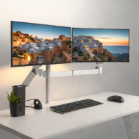WALI Dual Monitor Mount