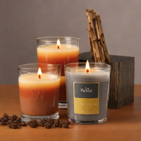 Woodwick Fireside Trilogy Candle
