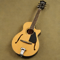 Washburn MG10D