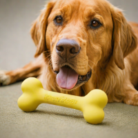 West Paw Zogoflex Hurley Dog Bone