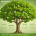 WisdomTree U.S. High Dividend ETF (WTHI)