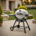 Weber Q1200 Portable Grill