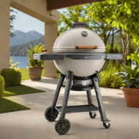 Weber Q1200 Propane Grill
