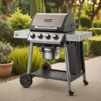 Weber Performer Deluxe 2200