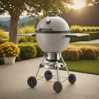 Weber Master-Touch GBS E-210