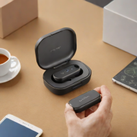 WS Audiology ZenCharge