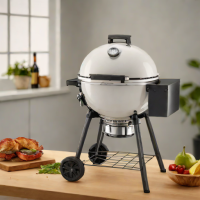 Weber SmokeView