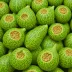 Xishuangbanna Gourd