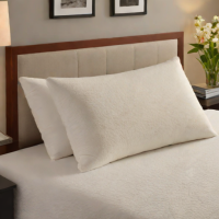 Xtreme Comforts Shredded Memory Foam Pillow