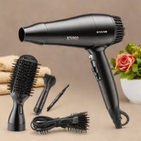 Xtava XTB-300 Professional Blow Dryer and Styler
