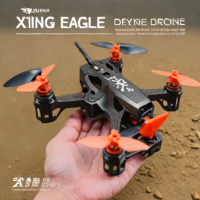 XING Eagle X220
