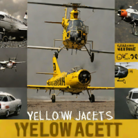 Yellowjackets (Book Series)
