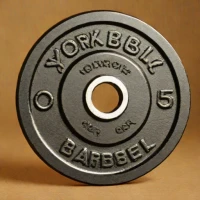 York Barbell Cast Iron Olympic Plates