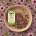 Yogi Echinacea Immune Support Tea
