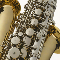 Yanagisawa SA-901 Student Alto Saxophone