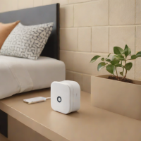 YoLink Smart Plug
