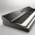 Yamaha P-125 Digital Piano