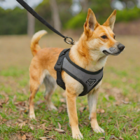 Youngearth Dog Harness