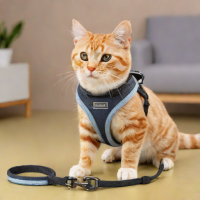 Yimeng Cat Harness and Leash Set
