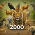 Zoo