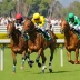 Zimbabwe Derby
