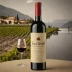 Zuccardi Valle de Uco Concreto Malbec