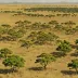 Zululand Lowveld