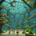 Zhengzhou Haichang Ocean Park