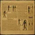 Zenon Papyri