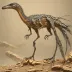 Zhenyuanlong suni