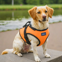ZippyPaws Life Vest Harness