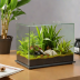 Zilla Natural Habitat Terrarium