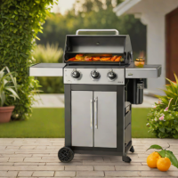 ZGrills 704E