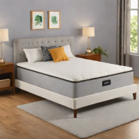 Zinus Timeless Box Spring and Mattress Foundation