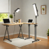 Zinus SmartBase Adjustable