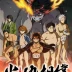 Hinomaru Sumo