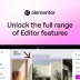 Elementor Pro