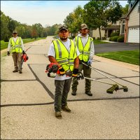 Echo 58V Hedge Trimmer