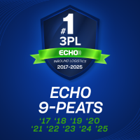 ECHO CS550 Snow Blower