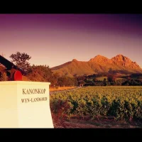 Kanonkop Wine Estate