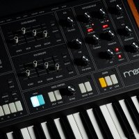 Moog One