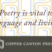 Night Sky with Exit Wounds by Ocean Vuong